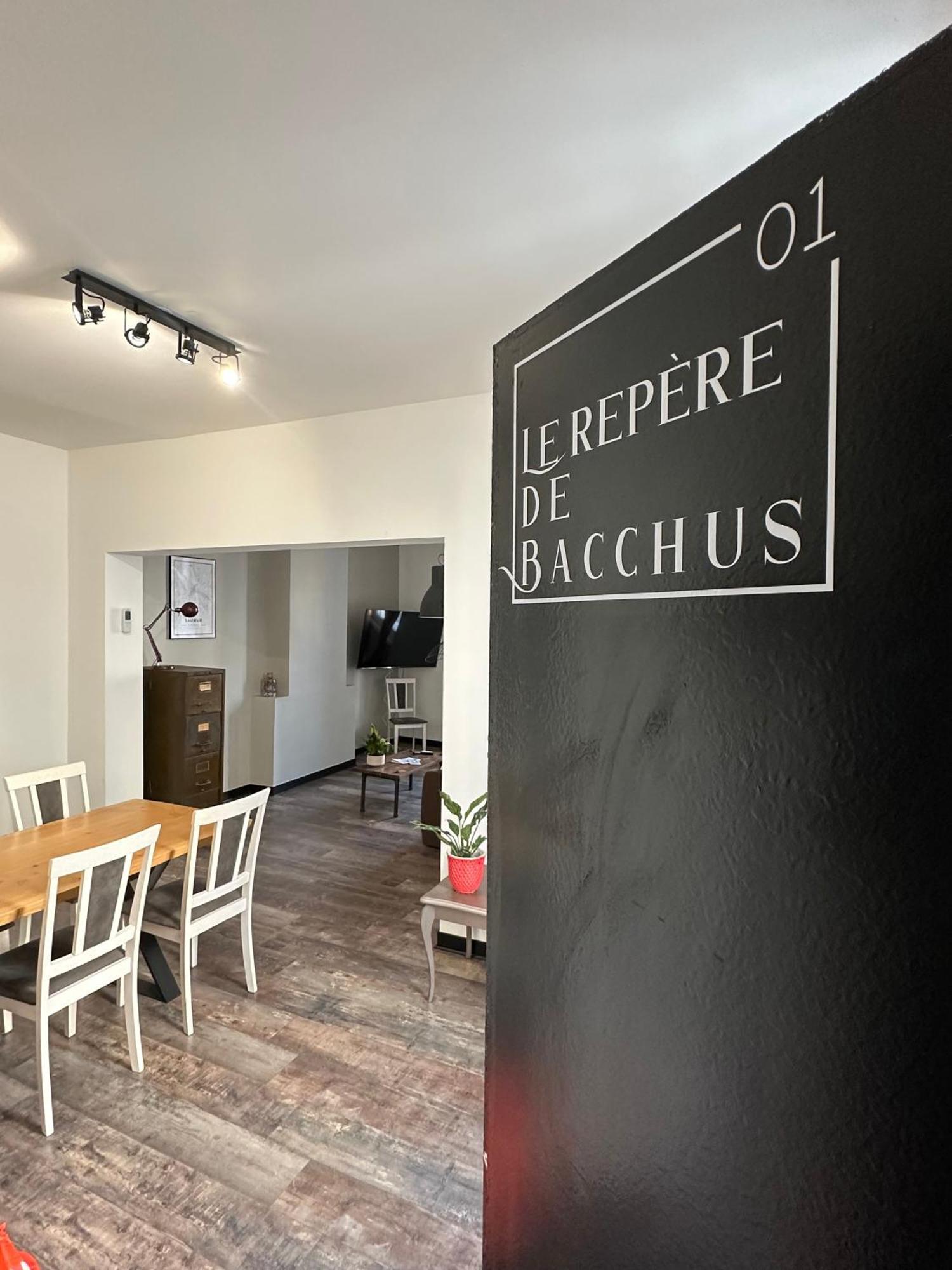 Appartement La Propriete De Bacchus à Saumur Extérieur photo